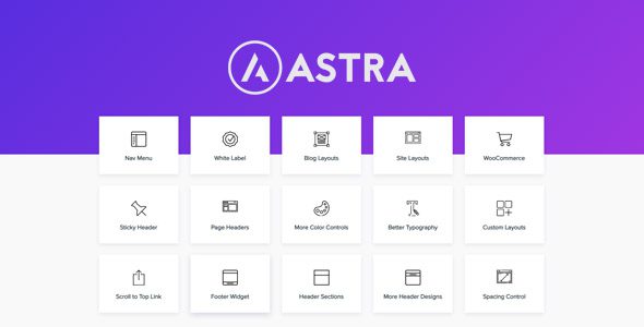 Astra Pro Addon 4.6.5 - Wordpess Theme For Any Website
