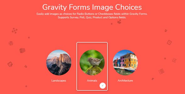 Gravity Forms Image Choices 1.4.19