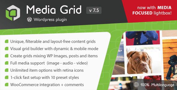 Media Grid 7.7.2 - WordPress Responsive Portfolio